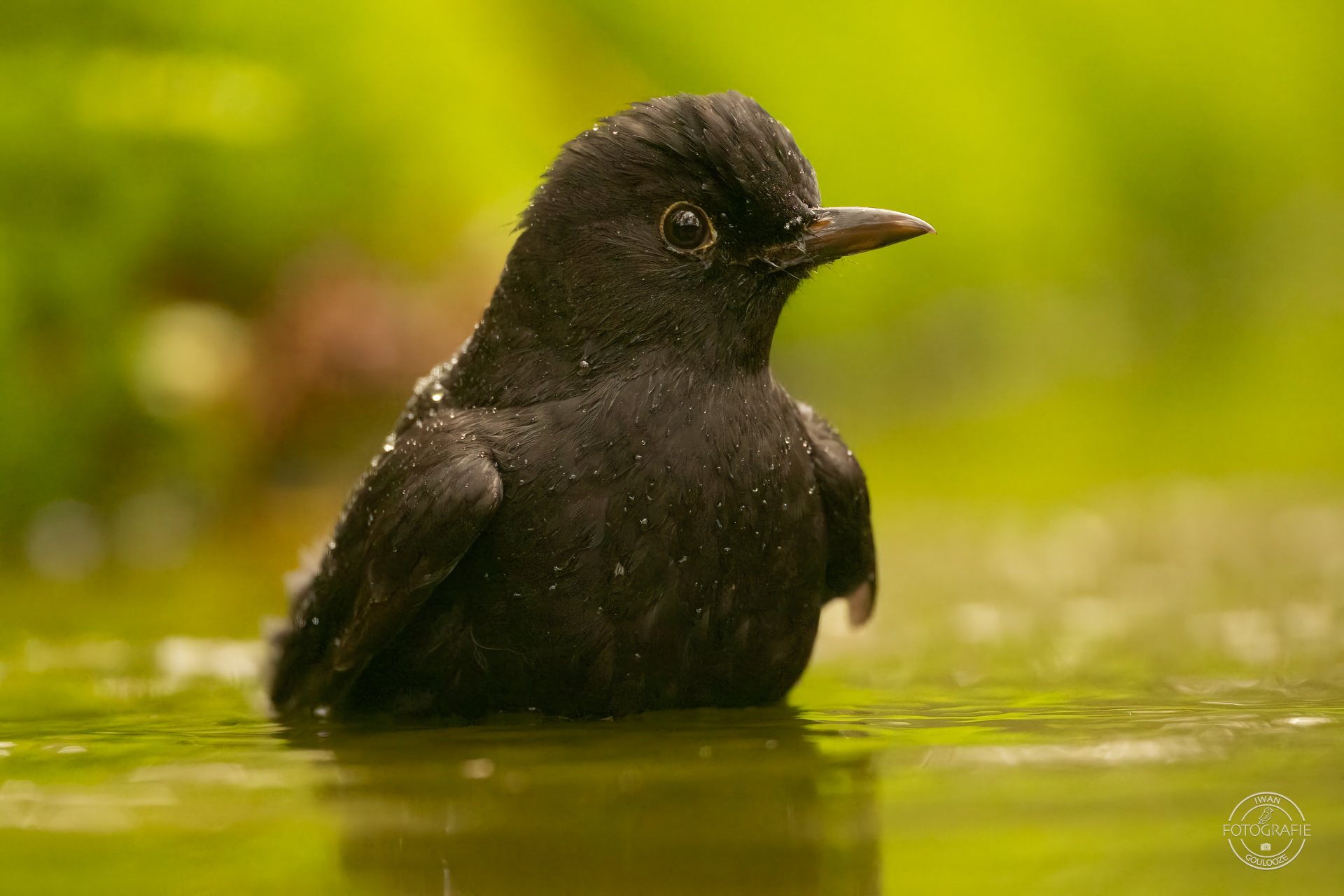 23 oktober 2022 123939 1R2A0213 bewerkt